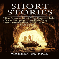 Mr Warren M Rice - Short Stories (Unabridged) artwork