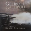 Demir Demirkan - Joe's Gone