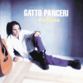 Gatto Panceri - Mia