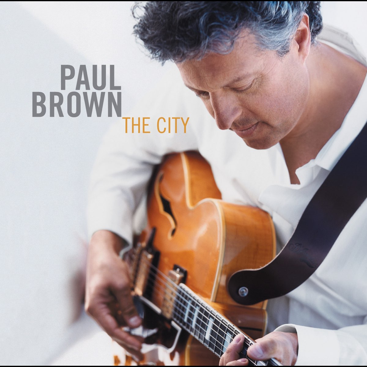 Слушать песни браун. Браун Пауль. Larry Carlton & Paul Brown - 2021 - Soul Searchin'. Paul Brown - hello again. Paul Brown one way back.