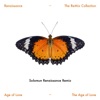 The Age of Love (Solomun Renaissance Remix) - Single, 2017