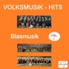 Volksmusik-Hits: Blasmusik, Vol. 1