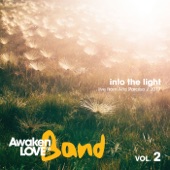 Into the Light, Vol. 2 - Live from Alto Paraíso artwork