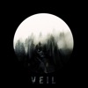 Veil - Single, 2018