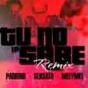 Tu No Lo Sabe (feat. Padrino Lzf & MelyMel) - Single album lyrics, reviews, download