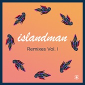 Mr. P (Islandman Remix) artwork