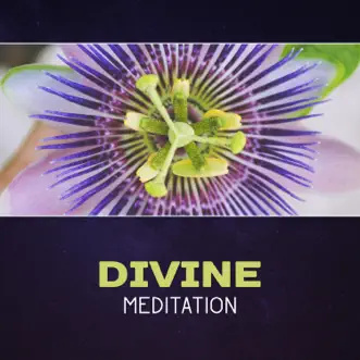 Divine Meditation by Mindfulness Meditation Academy album reviews, ratings, credits