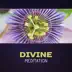 Divine Meditation album cover