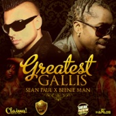 Greatest Gallis (Radio Edit) artwork