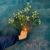 Not My Place - Single