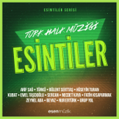 Esintiler: Türk Halk Müziği 1 - Various Artists