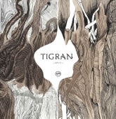 Tigran Hamasyan - Vardavar
