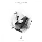 Room Mates #001 artwork