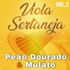 Viola Sertaneja, Vol. 3