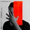 Somebody New (feat. Liza Owen) [Cedric Gervais & Laurent Simeca Remix] song lyrics