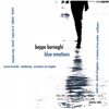 Beppe Bornaghi - Aurora Borealis