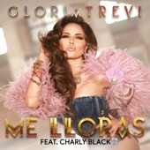 Gloria Trevi - Me Lloras