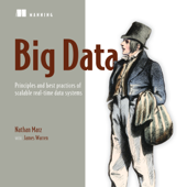 Big Data: Principles and Best Practices of Scalable Realtime Data Systems (Unabridged) - Nathan Marz & James Warren