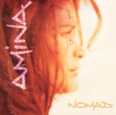 Nomad - Best of Amina artwork