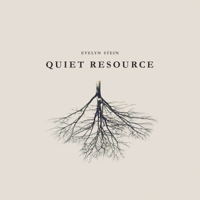 Evelyn Stein - Quiet Resource artwork