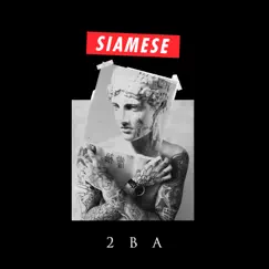 Animals - Single by Siamese album reviews, ratings, credits