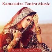 Kamasutra Tantra Music, Vol. 6: Sounds of Love artwork
