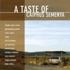 A Taste of Caiphus Semenya, 2004