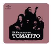 Flamenco Es ... Tomatito artwork