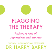 Dr Harry Barry - Flagging the Therapy artwork