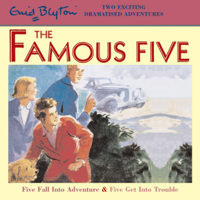 Enid Blyton - Five Fall Into Adventure & Five Get Into Trouble artwork