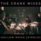 Hollow Moon (Single Version) - The Crane Wives lyrics