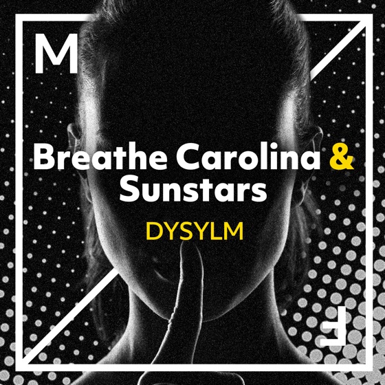 Cover artwork for Dysylm