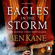 Ben Kane - Eagles in the Storm