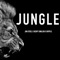 Jungle (feat. Geoff English & Kryple) - Jon Steel lyrics
