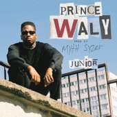 Junior cover