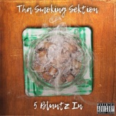 Blaze 1ne
