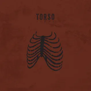 Album herunterladen Torso - Limbs