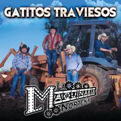 Gatitos Traviesos - Single by La Maquinaria Norteña album reviews, ratings, credits
