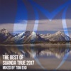 The Best of Suanda True 2017 - Mixed By Tom Exo, 2017
