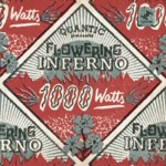 Flowering Inferno & Quantic - 1000 Watts [feat. Christopher Ellis]