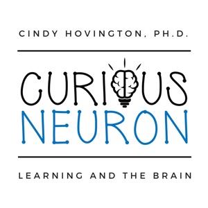 Introducing Curious Neuron