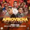 Aprovecha (Remix) [feat. Ozuna, Juanka El Problematik, Juhn El All Star & Justin Quiles] - Single album lyrics, reviews, download
