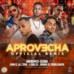 Aprovecha (Remix) [feat. Ozuna, Juanka El Problematik, Juhn El All Star & Justin Quiles] - Single - Anonimus