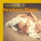 Welcome to the World - Newborn Baby Music Lullabies lyrics