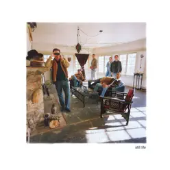 Still Life - The Connells