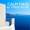 Calm Oasis for Stress Relief - Zen Garden of Music, Therapy Session for Deep Relaxation album lyrics, reviews, download