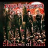 Shadows of Ruin, 2012