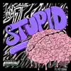Stupid (feat. Pet Zebra) - Single album lyrics, reviews, download