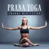 Stream & download Prana Yoga: Chakra Meditation, Zen Time, Relaxation Music, Massage Therapy, Mental Health, Reiki, Body Balance