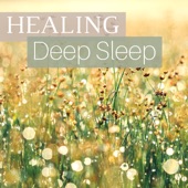 Healing Deep Sleep - Relaxation & Meditation Journey, Birds Singing and Nature Sounds artwork